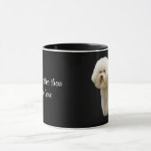Bichon Tasse (Zentrum)