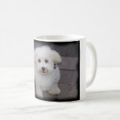 bichon Tasse (VorderseiteRechts)
