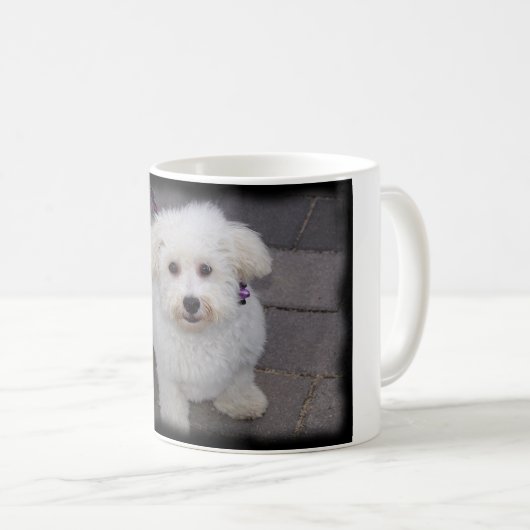 bichon Tasse (VorderseiteRechts)