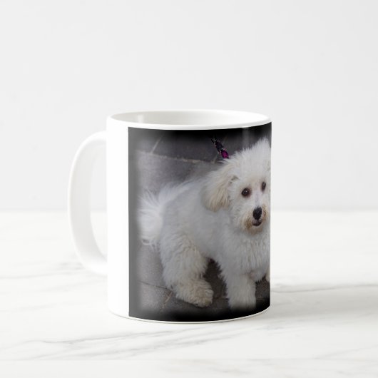 bichon Tasse (Vorderseite Links)