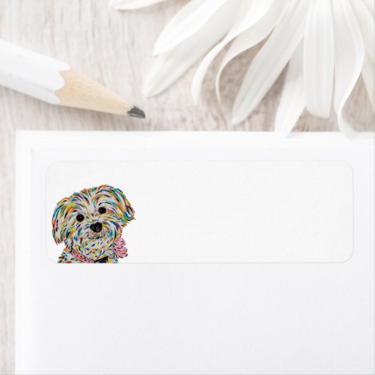 Bichon Terrier Mix Rücksendeadresse (Insitu)