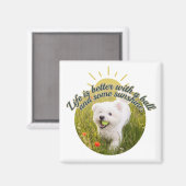 Bichon und Ball Dandelion-Tage  Magnet (Vorderseite/Rückseite)