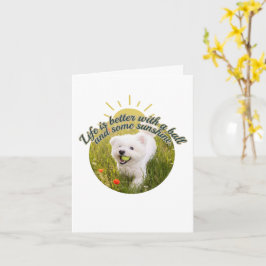 Bichon und Ball Löwenzahntage  Karte