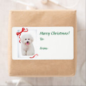 Bichon Weihnachtsgeschenke Stickers (Insitu)