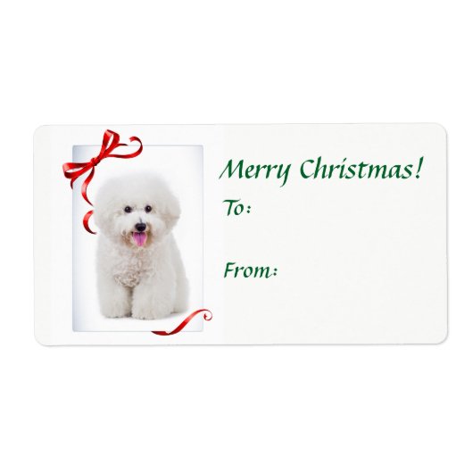 Bichon Weihnachtsgeschenke Stickers (Vorne)