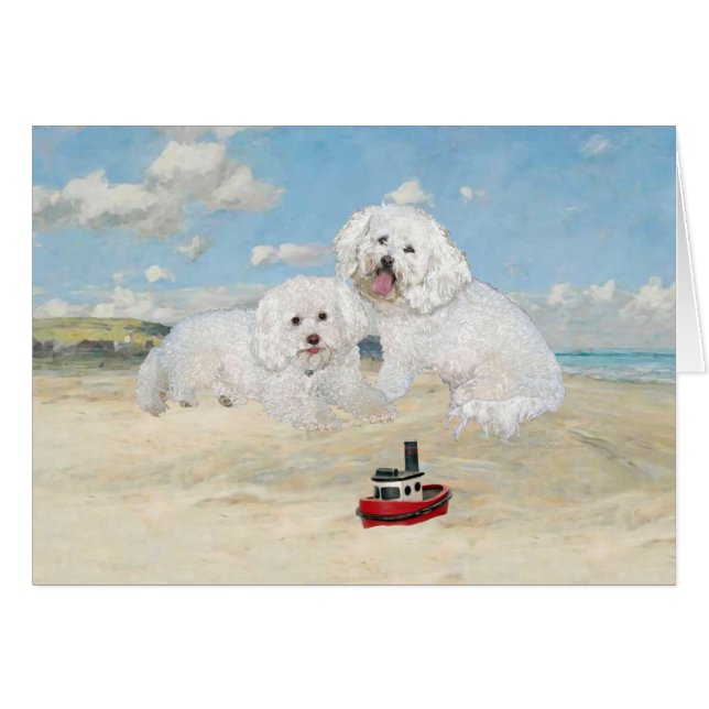Bichons am Strand (Vorderseite (Horizontal))