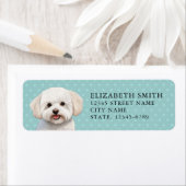 Bichons-Rücksendeadresse (Insitu)