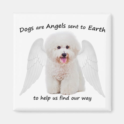 Bichons sind Angels Magnet (Vorne)
