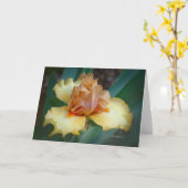 Bicolor Iris (Tan & Gelb) Karte (Gelbe Blume)