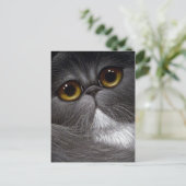 BICOLOR PERSIAN CAT Postkarte (Stehend Vorderseite)