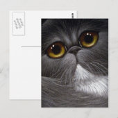 BICOLOR PERSIAN CAT Postkarte (Vorne/Hinten)