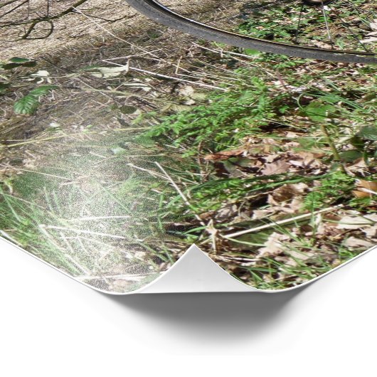 BICYCLES FOTODRUCK (Ecke)