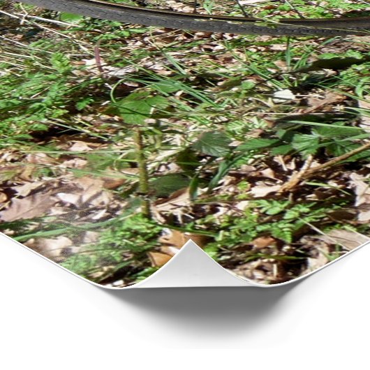 BICYCLES POSTER (Ecke)