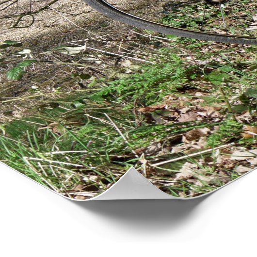 BICYCLES POSTER (Ecke)