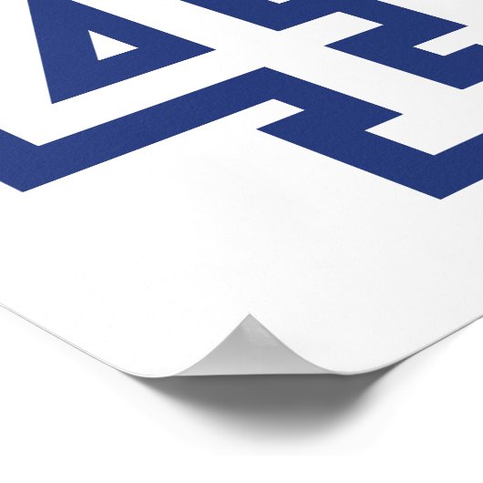 BIDEN 46 POSTER (Ecke)