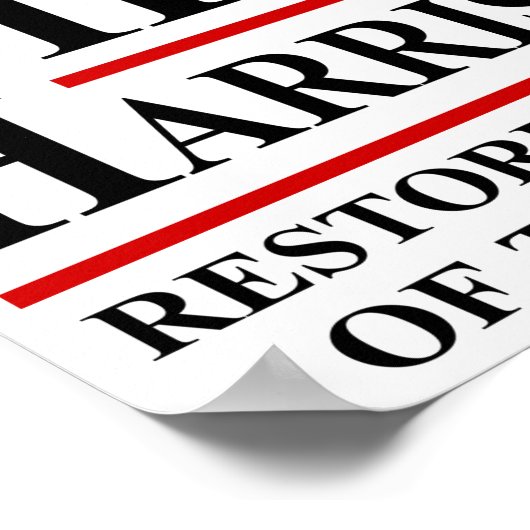 Biden Harris 2020 Poster (Ecke)