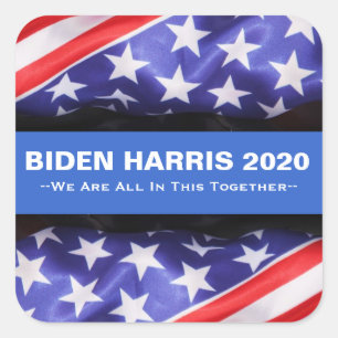 BIDEN HARRIS 2020 USA Flag Campaign Stickers