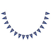 Biden Harris Party Wimpelkette (Alle)