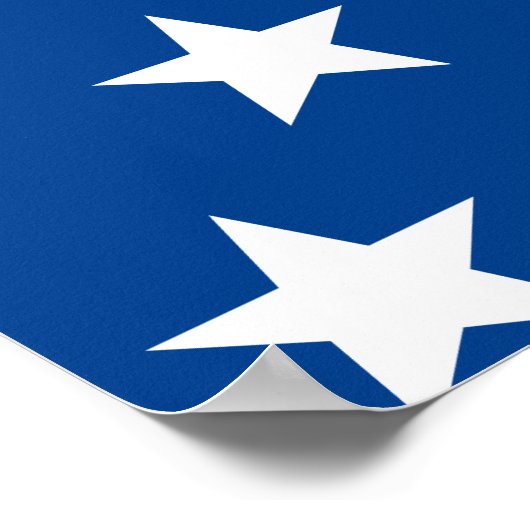 Biden / Harris White Stars Muster Blau Poster (Ecke)