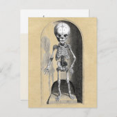 Bidloo Medical Illustration (Anterior) Postkarte (Vorne/Hinten)