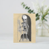 Bidloo Medical Illustration (Anterior) Postkarte (Stehend Vorderseite)