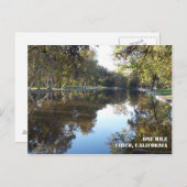 Bidwell Park Postcard Postkarte (Vorne/Hinten)