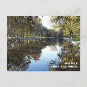 Bidwell Park Postcard Postkarte