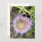 BIE UND BLUME POSTKARTE (Vorne/Hinten)