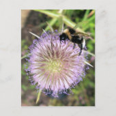 BIE UND BLUME POSTKARTE (Vorderseite)
