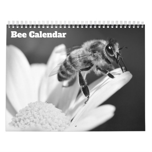 Biene 2027 kalender (Titelbild)