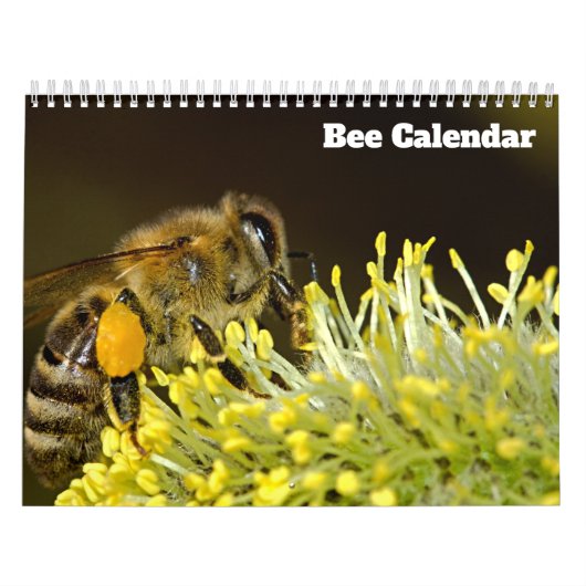 Biene 2027 Kalender (Titelbild)