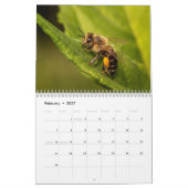 Biene 2027 Kalender (Feb 2027)