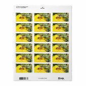 Biene Adressaufkleber (Vorne)