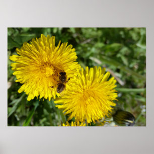 Biene am Arbeitsplatz Poster