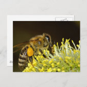 Biene am Arbeitsplatz Postkarte (Vorne/Hinten)