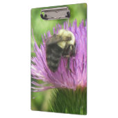 Biene an der Thistle-Zwischenablage Klemmbrett (Links)