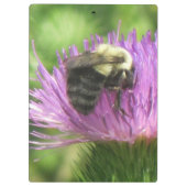Biene an der Thistle-Zwischenablage Klemmbrett (Rückseite)