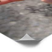 Biene an einem Finger Poster (Ecke)