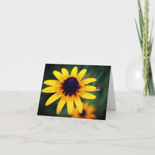Biene auf Black Eyed Susan-Blumenfotografie 