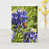 Biene auf Bluebonnet Scripture Card Psalm 73:25-26 Karte (Gelbe Blume)