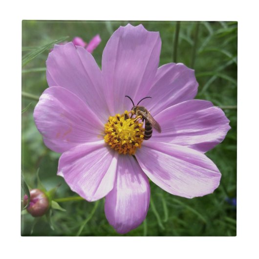 Biene auf Blume Fliese (Vorderseite)