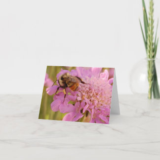 Biene auf Blume Karte
