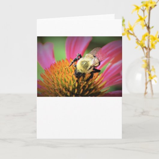 Biene auf Blume, Karte (Gelbe Blume)