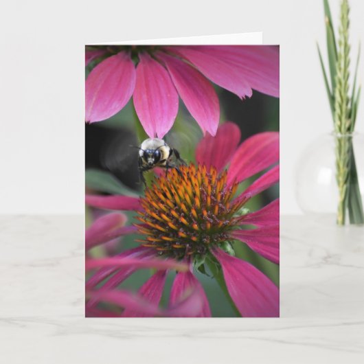 Biene auf Blume, Karte (Vorderseite)