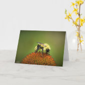 Biene auf Blume, Karte (Gelbe Blume)