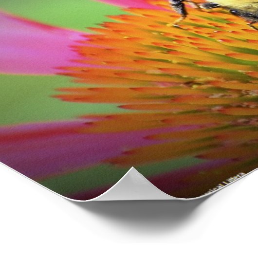 Biene auf Blume, Poster (Ecke)