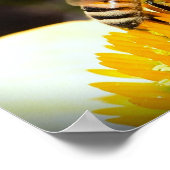 Biene auf Blume, Poster (Ecke)