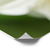 Biene auf Blume Poster (Ecke)