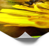 Biene auf Blüte Poster (Ecke)