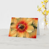 Biene auf Dahlia Karte (Gelbe Blume)